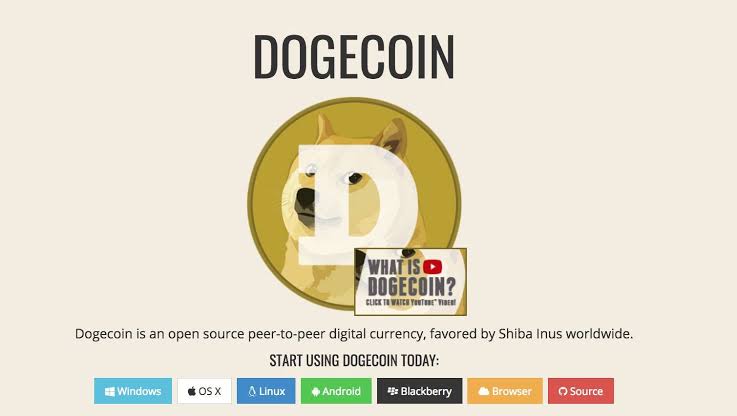@goodindigene/how-much-you-would-have-made-if-you-pour-usd1000-into-dogecoin-at-the-beginning-of-this-year
