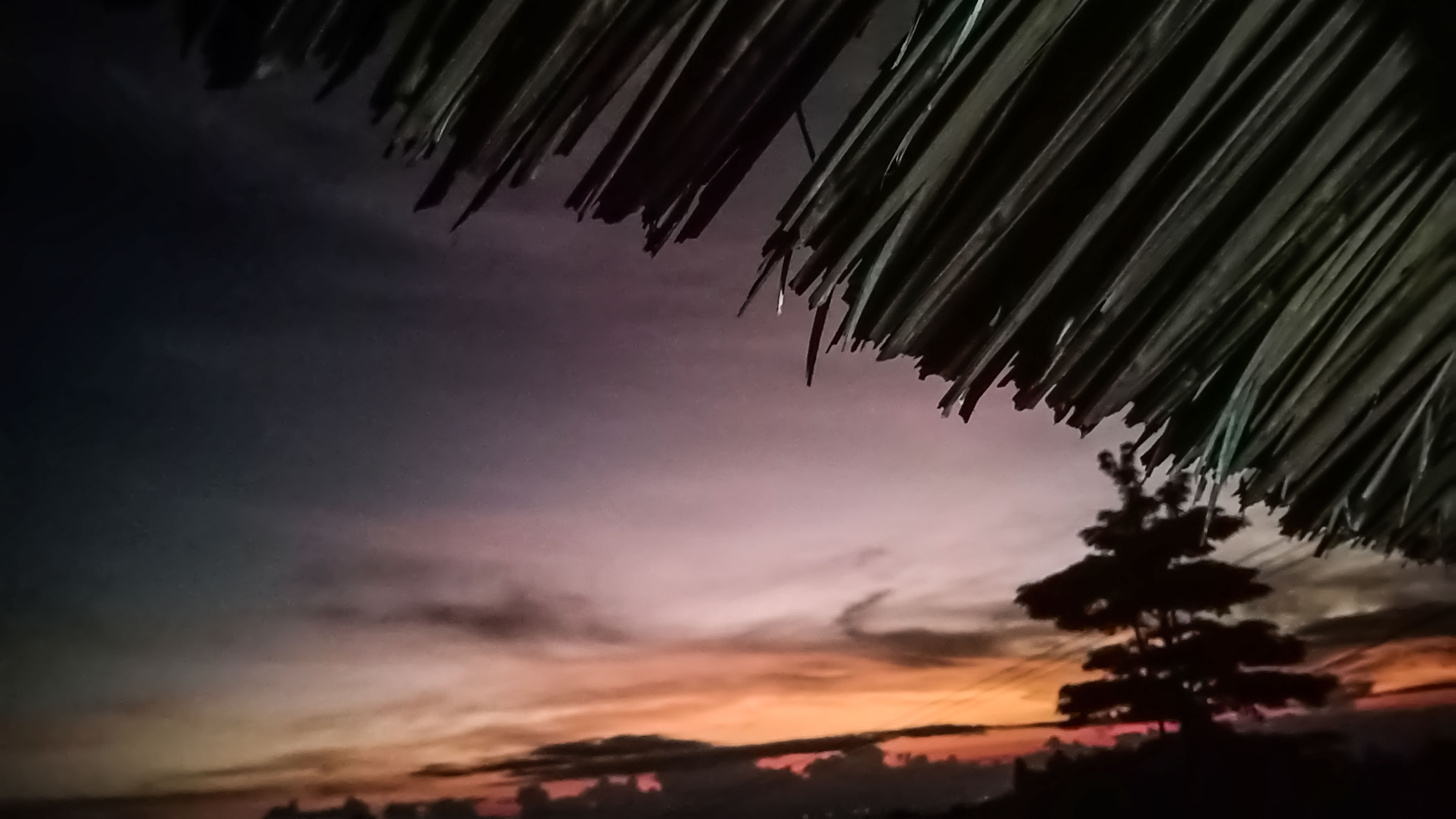 IMG20220417055015.jpg