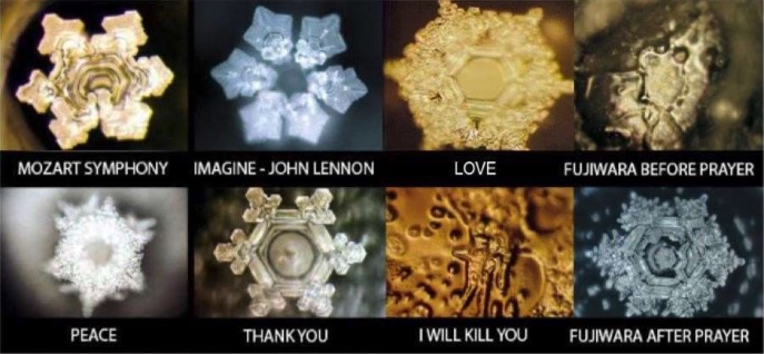  "emoto.jpg"