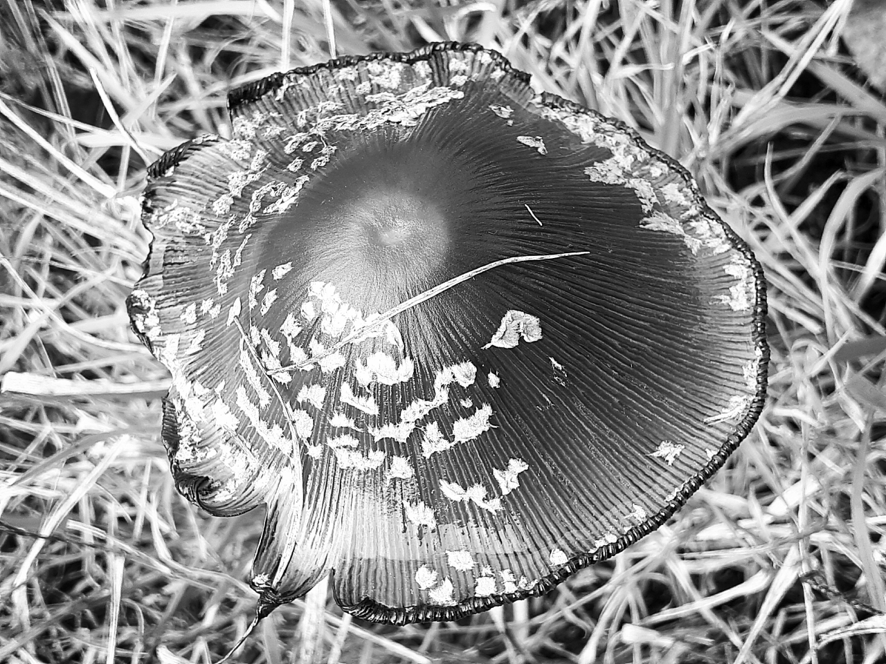 20201102_112251.jpg