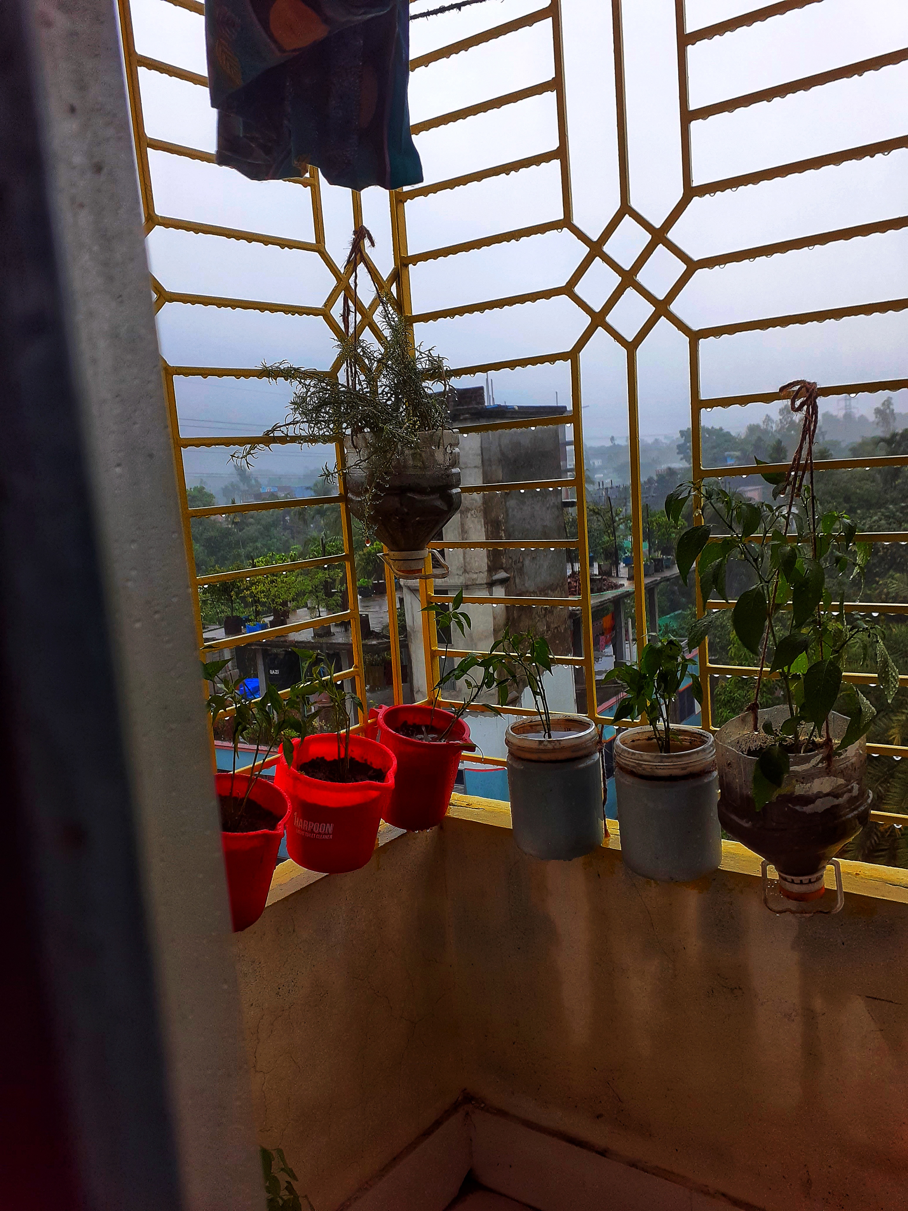 20220513_103103-01.jpeg