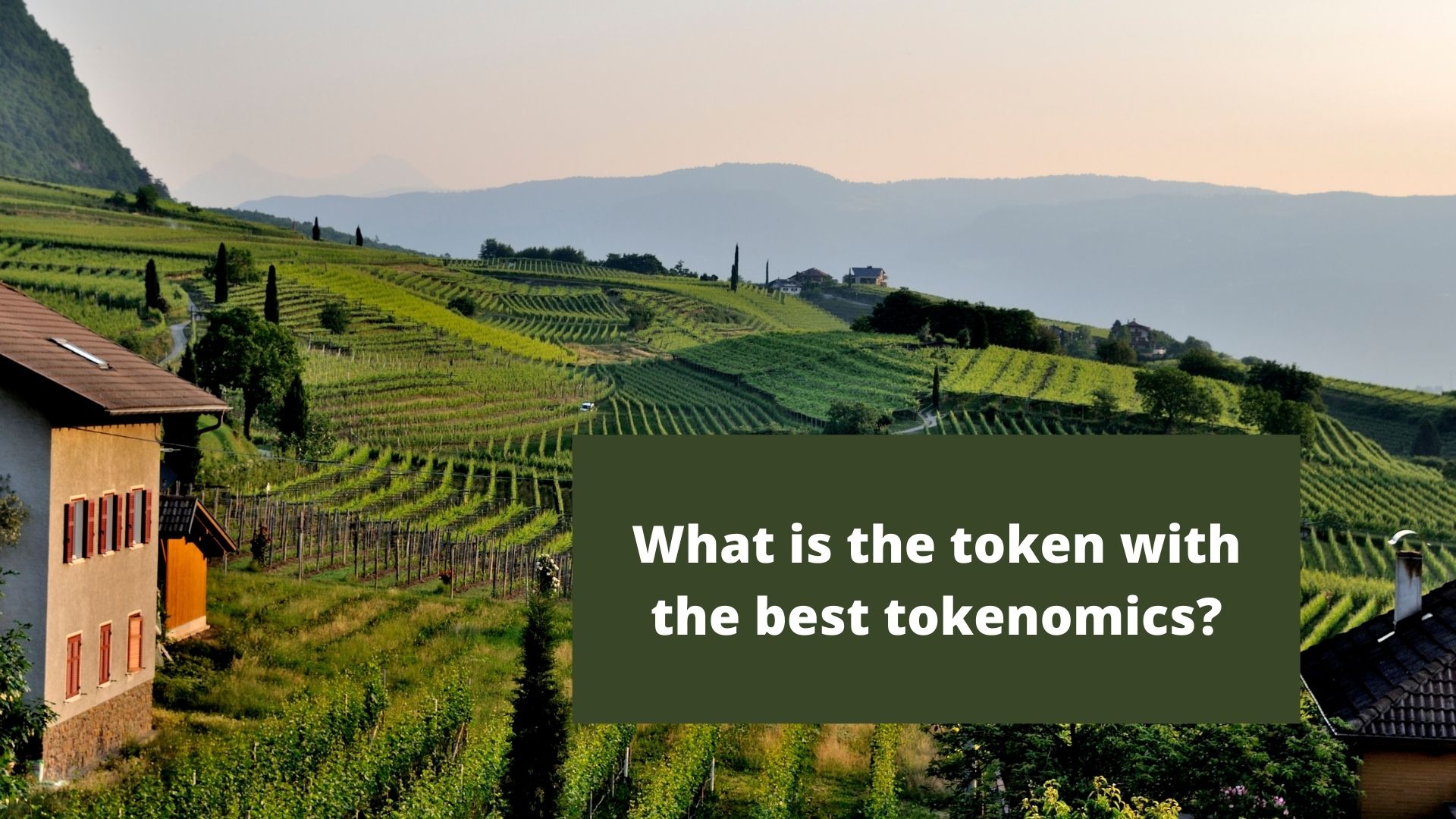 What is the token with the best tokenomics.jpg