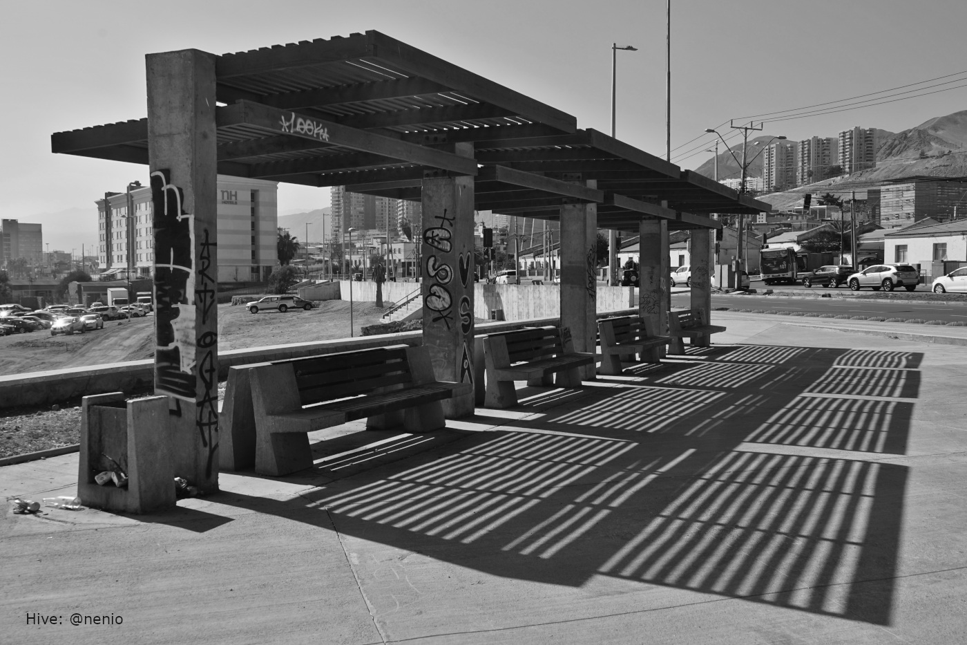 pergola-shadows-005-bw-2.jpg