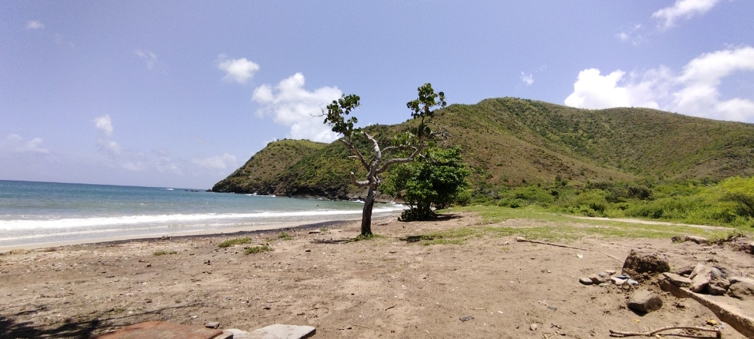 IMG_20230205_200832.jpg