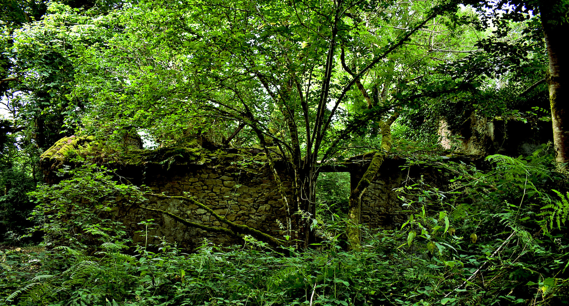 p4a.jpg