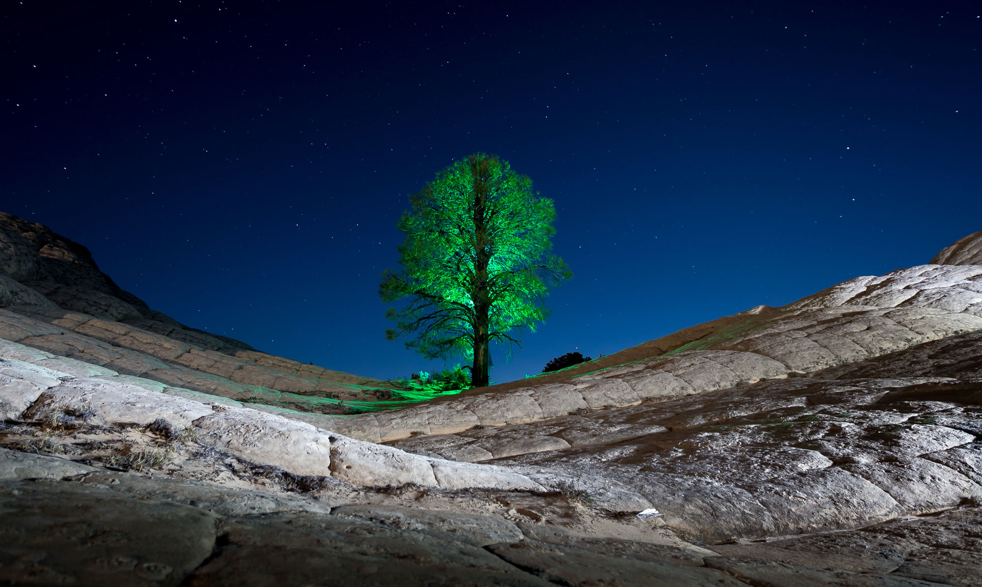 LightPainting-Gunnar-Heilmann_USA-Arizona-White-Pocket-tree-stars-green-extra-arm-visual.jpg