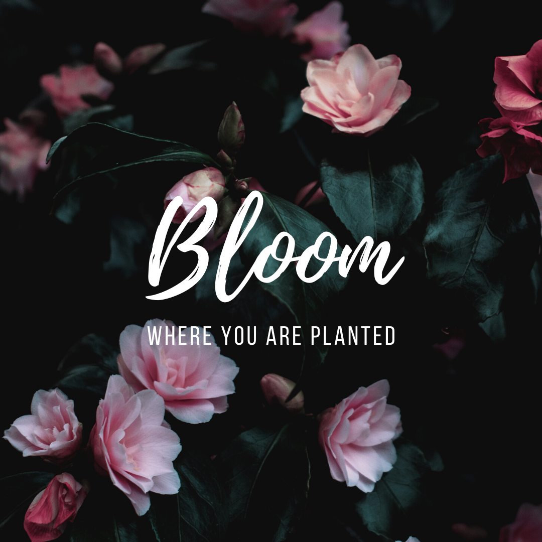 Simple Floral Image Spring Quotes Instagram Post.png