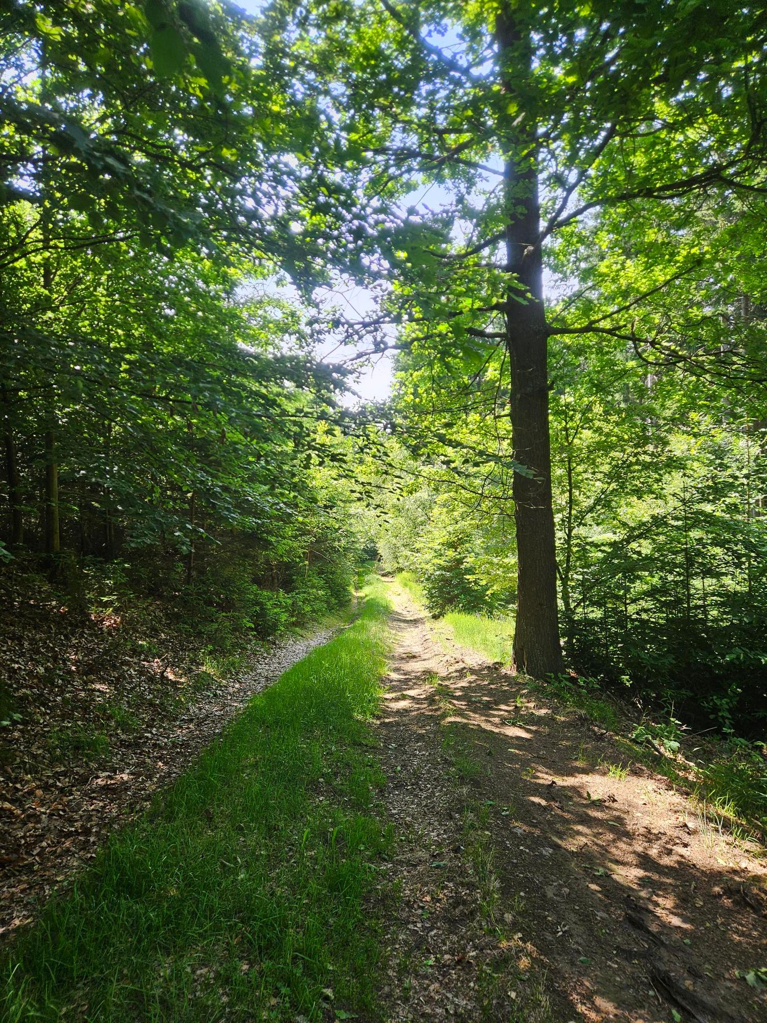 footer_image_14766264637.png