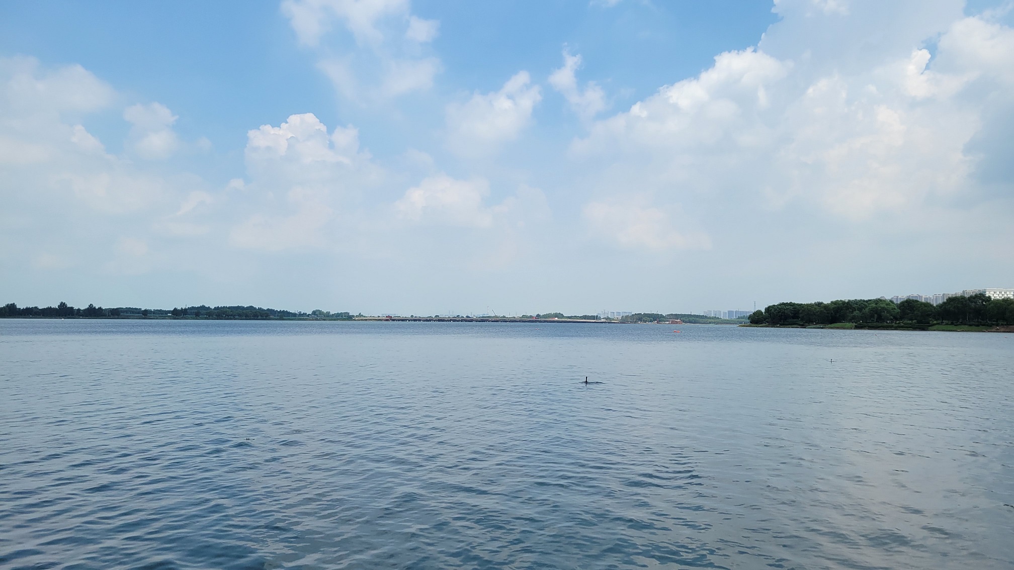 20230709_111045.jpg