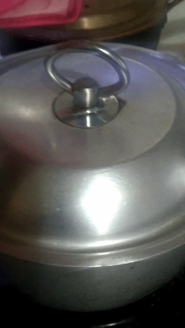 20230611_140036_1.gif
