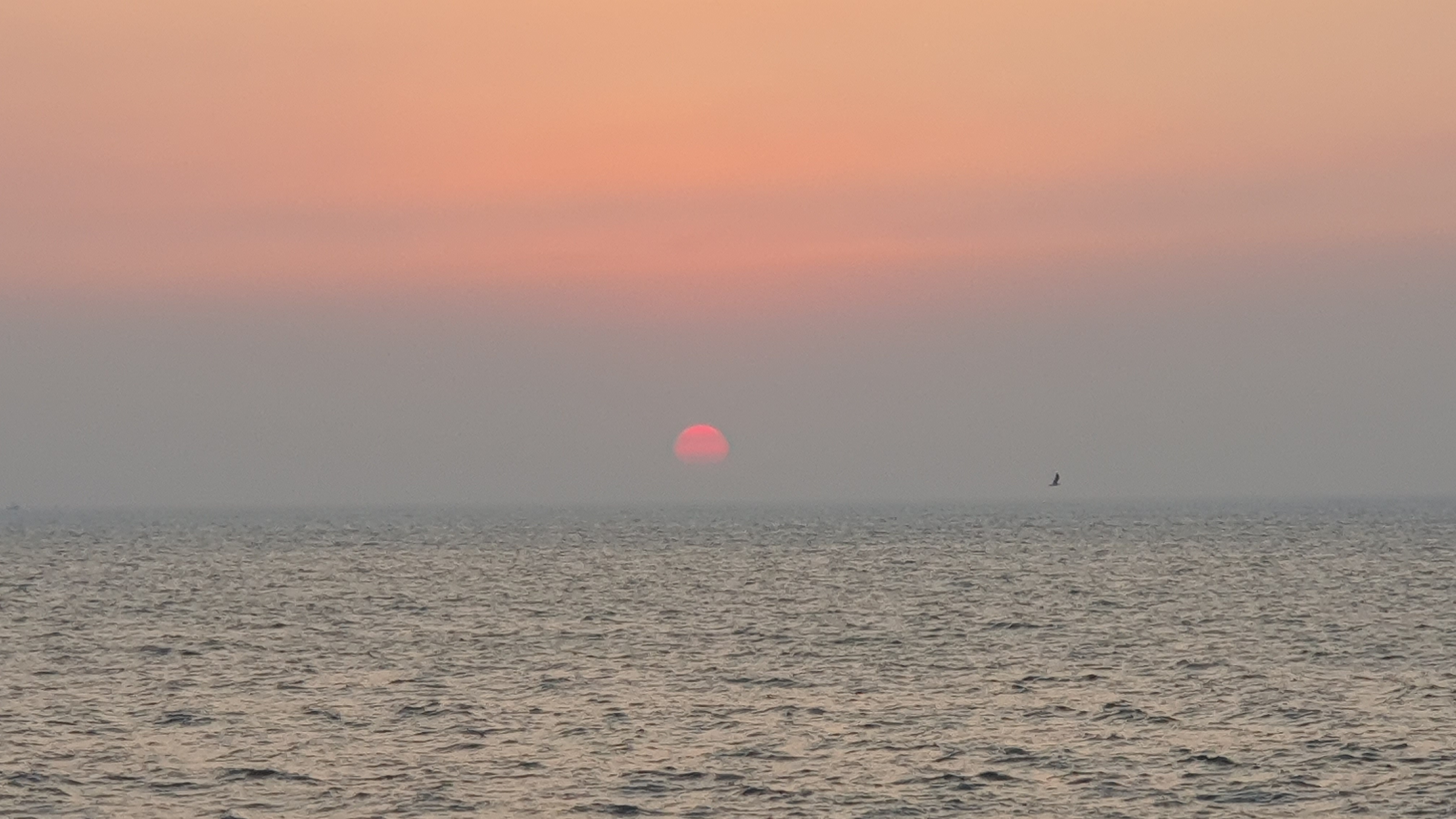 20230226_183932.jpg