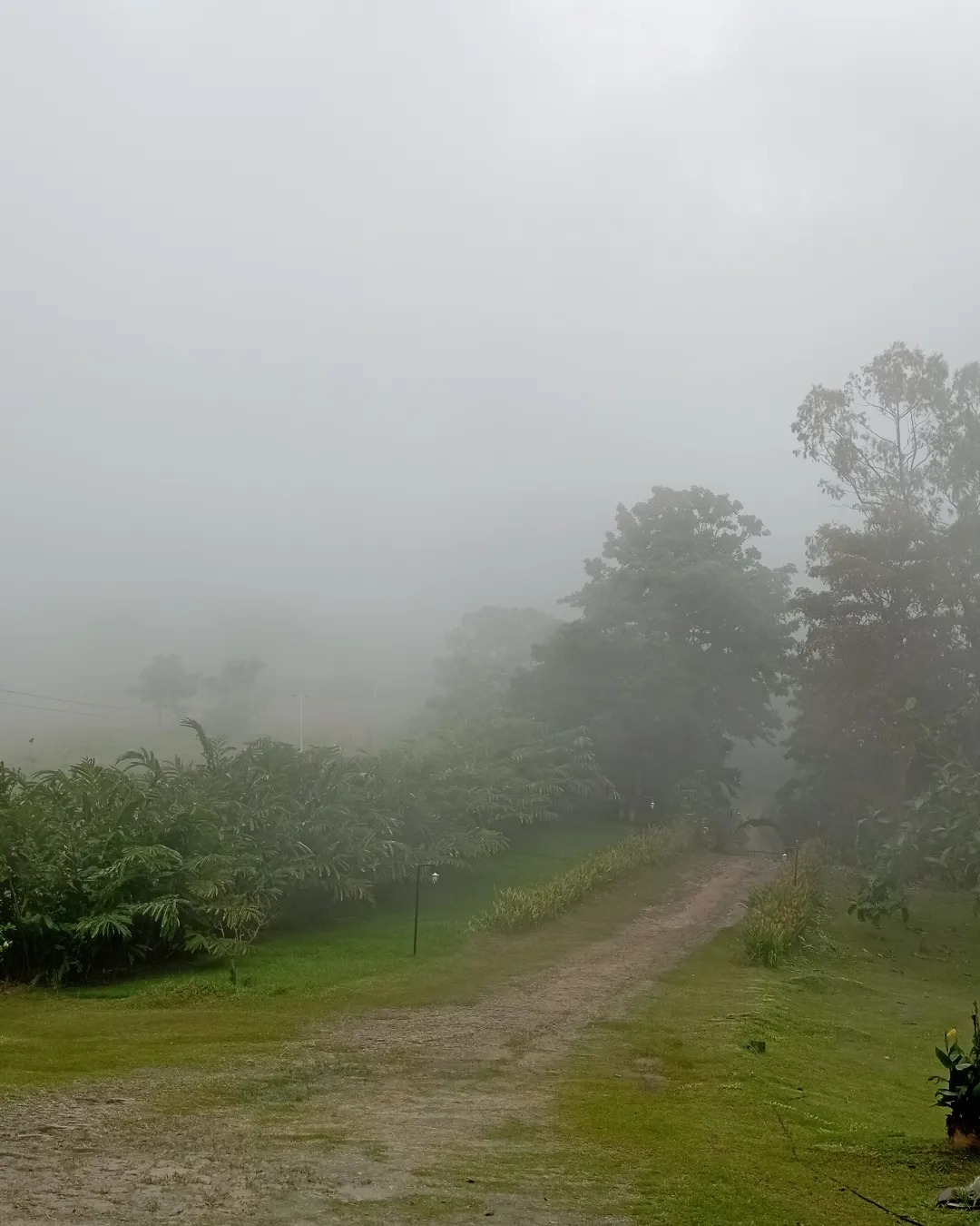 finca la pantalla, en cocorote 8.jpg