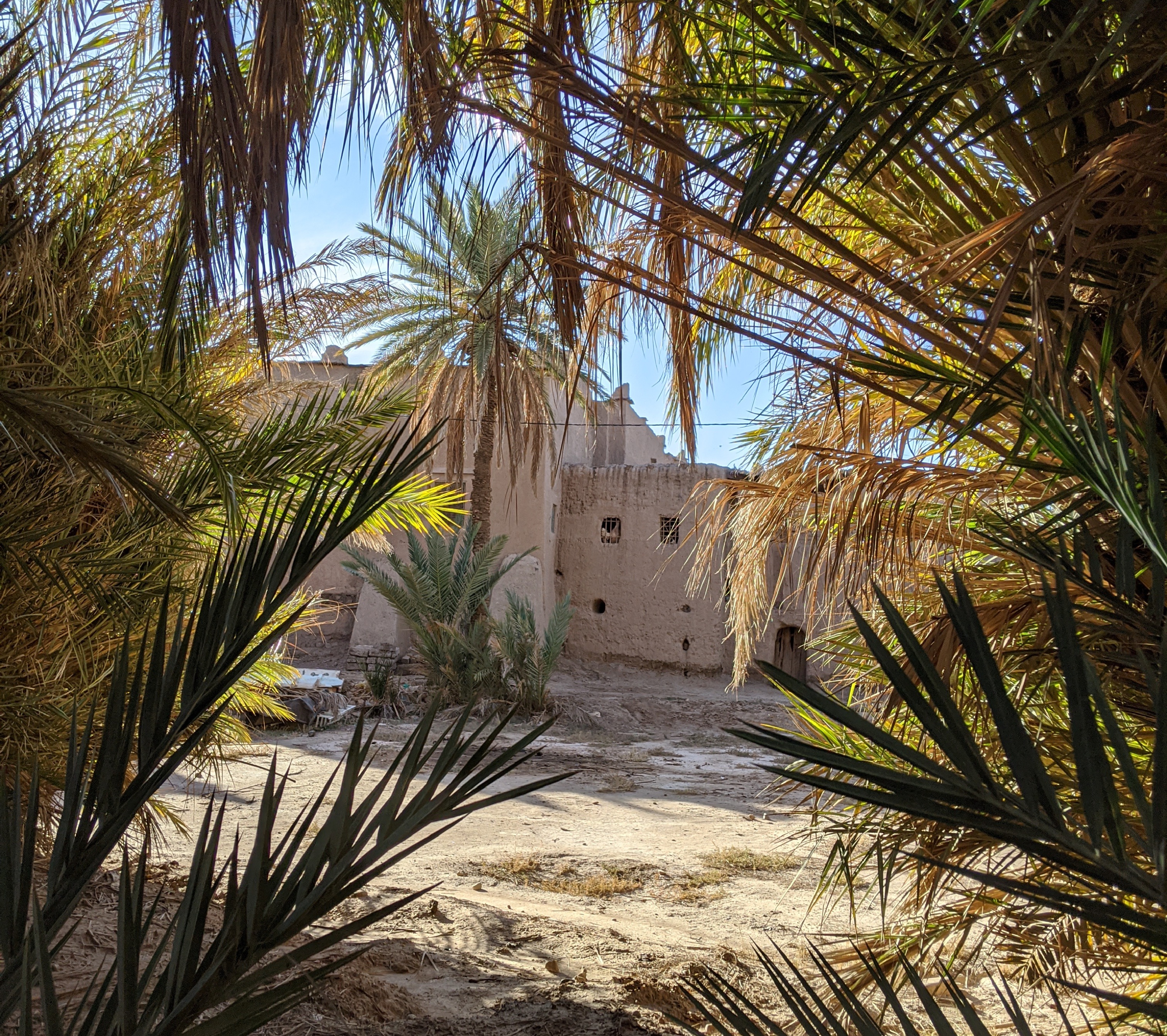 in the trees kasbah.JPG