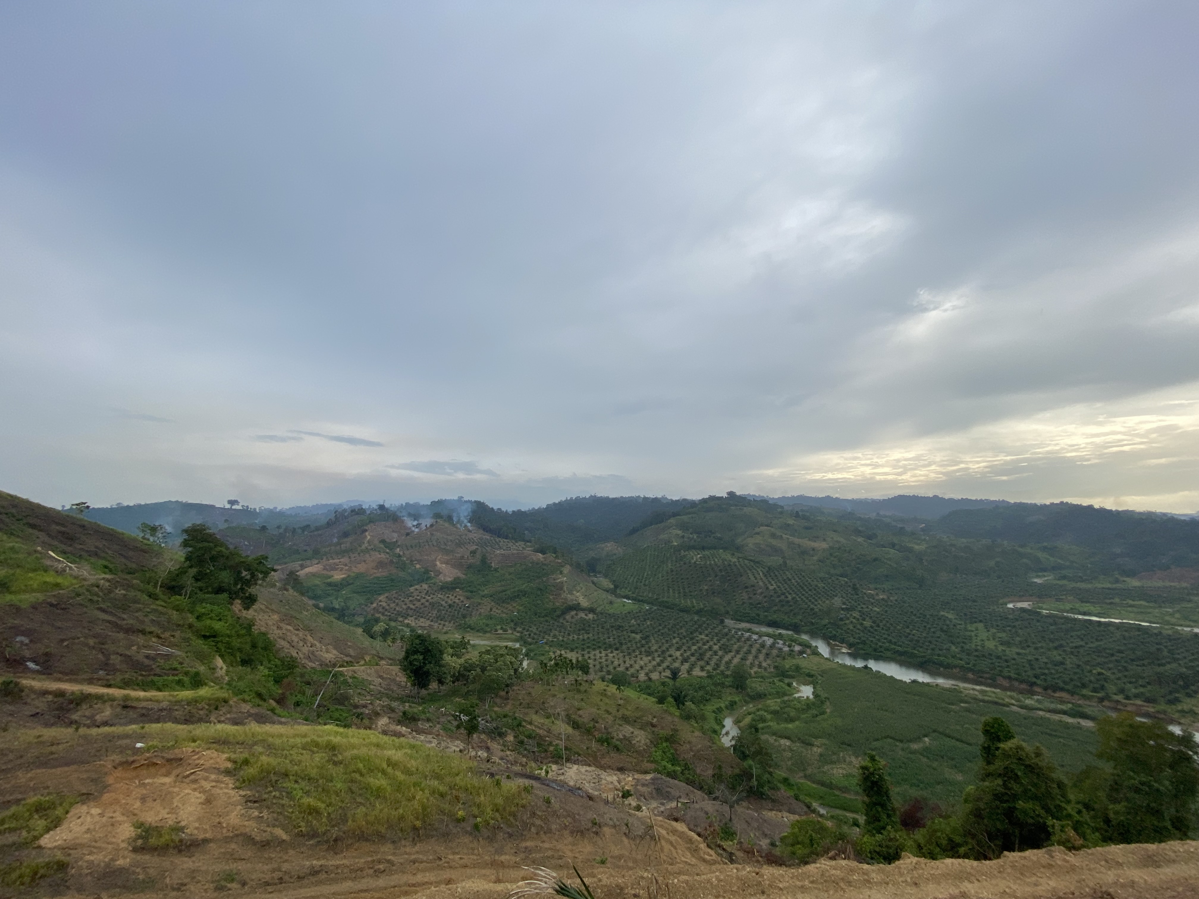 IMG_0582.jpeg