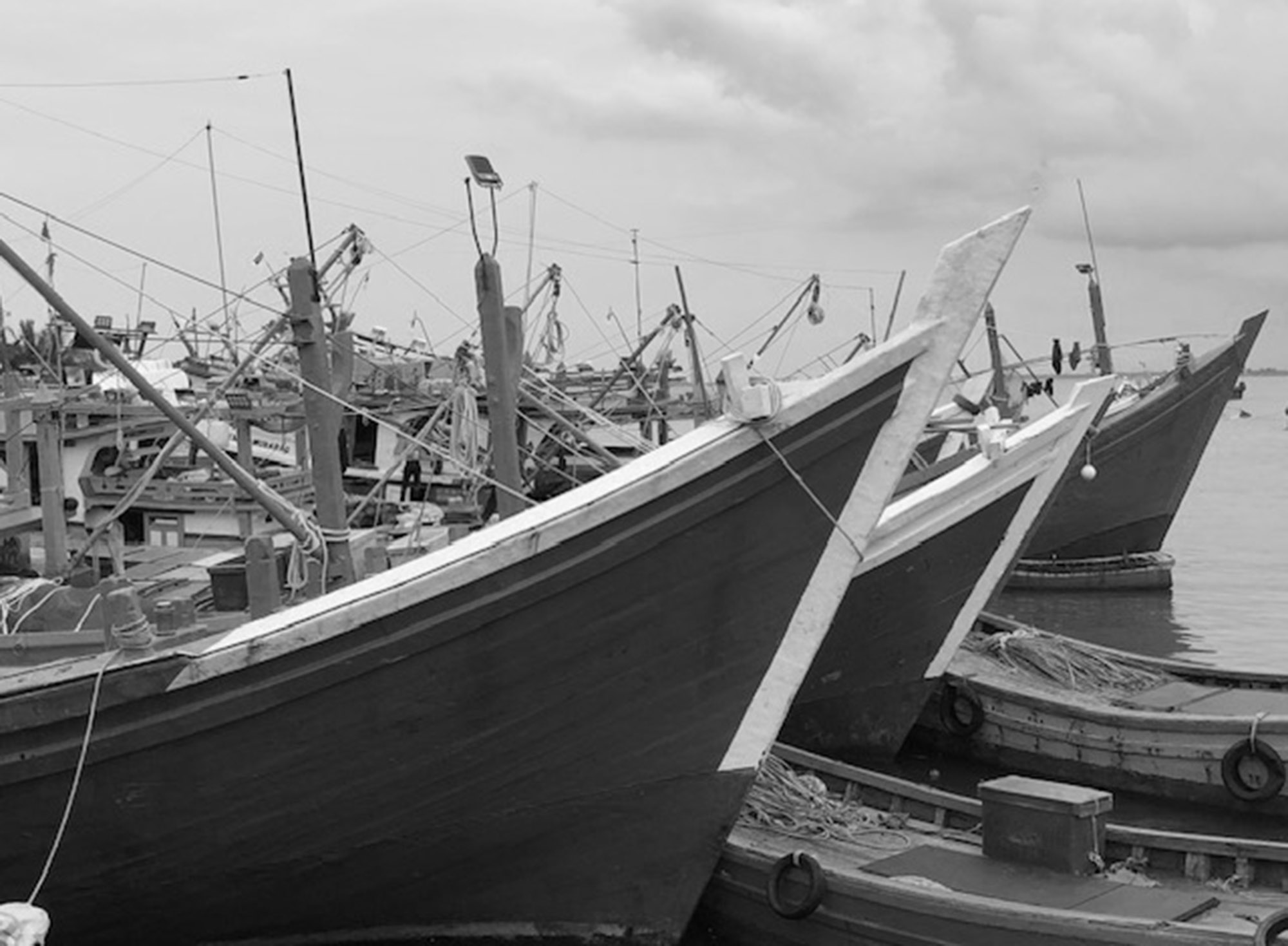 PPI Pusong_01.jpg