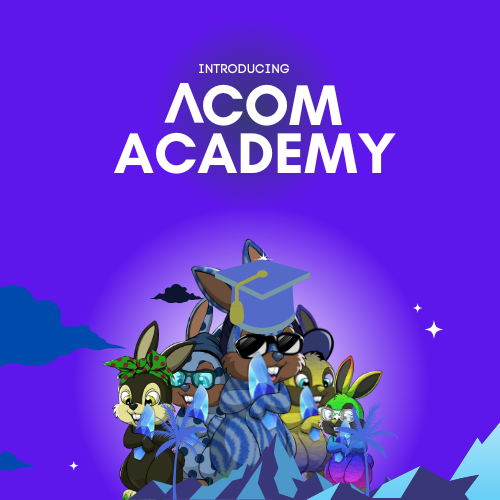 acom.finance ACADEMY.png