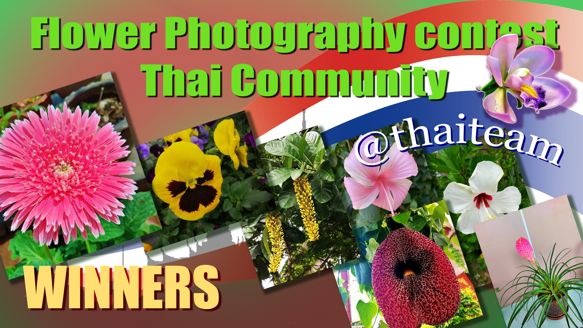 Flower Photography contest N winners.png