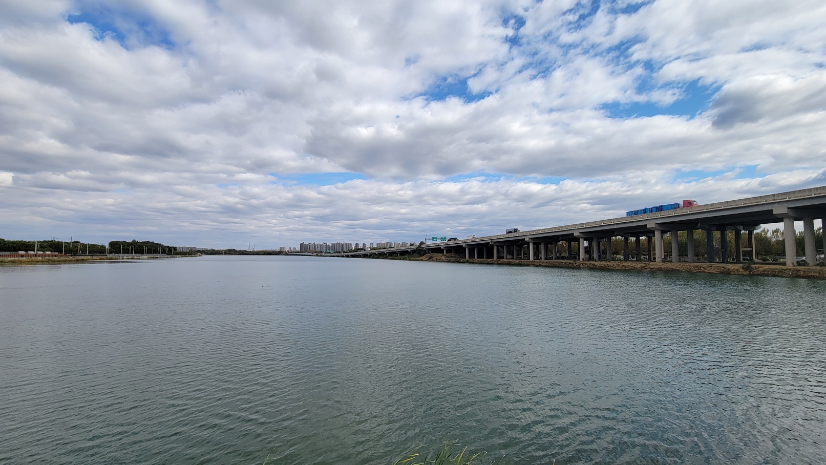 20221017_115641.jpg