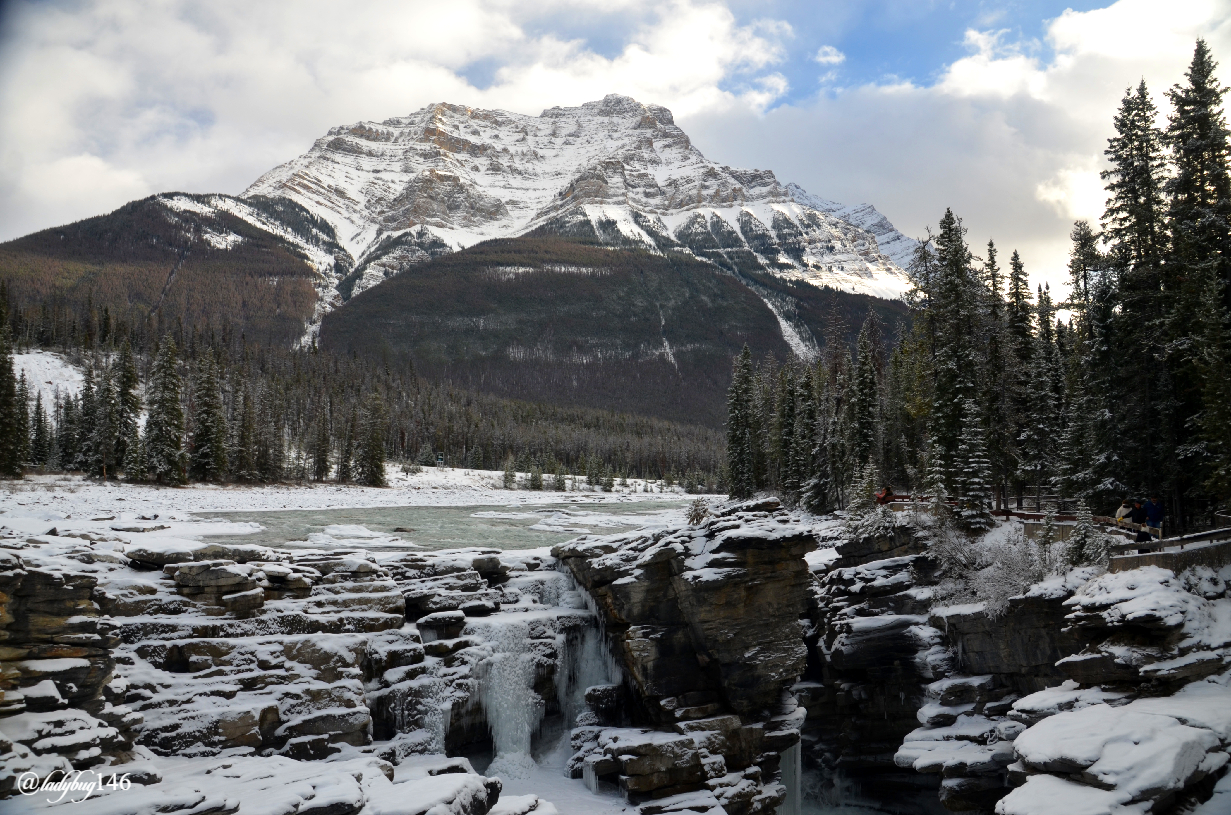 athabasca falls (1).jpg