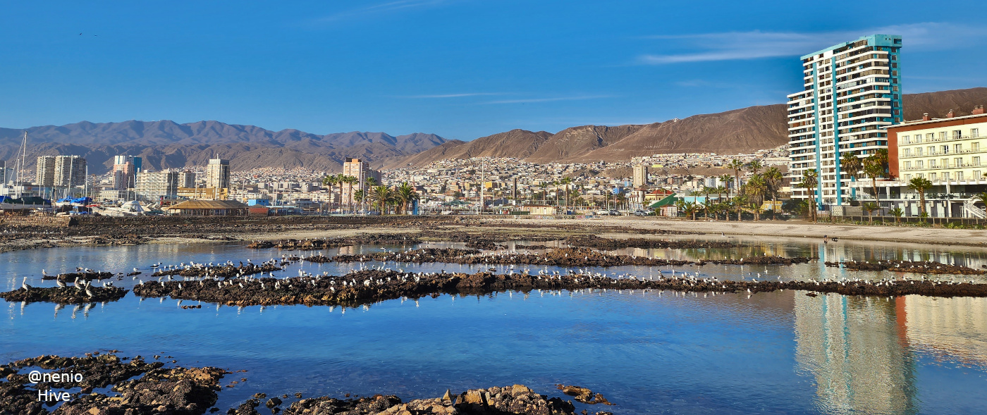 antofagasta-view-015.jpg