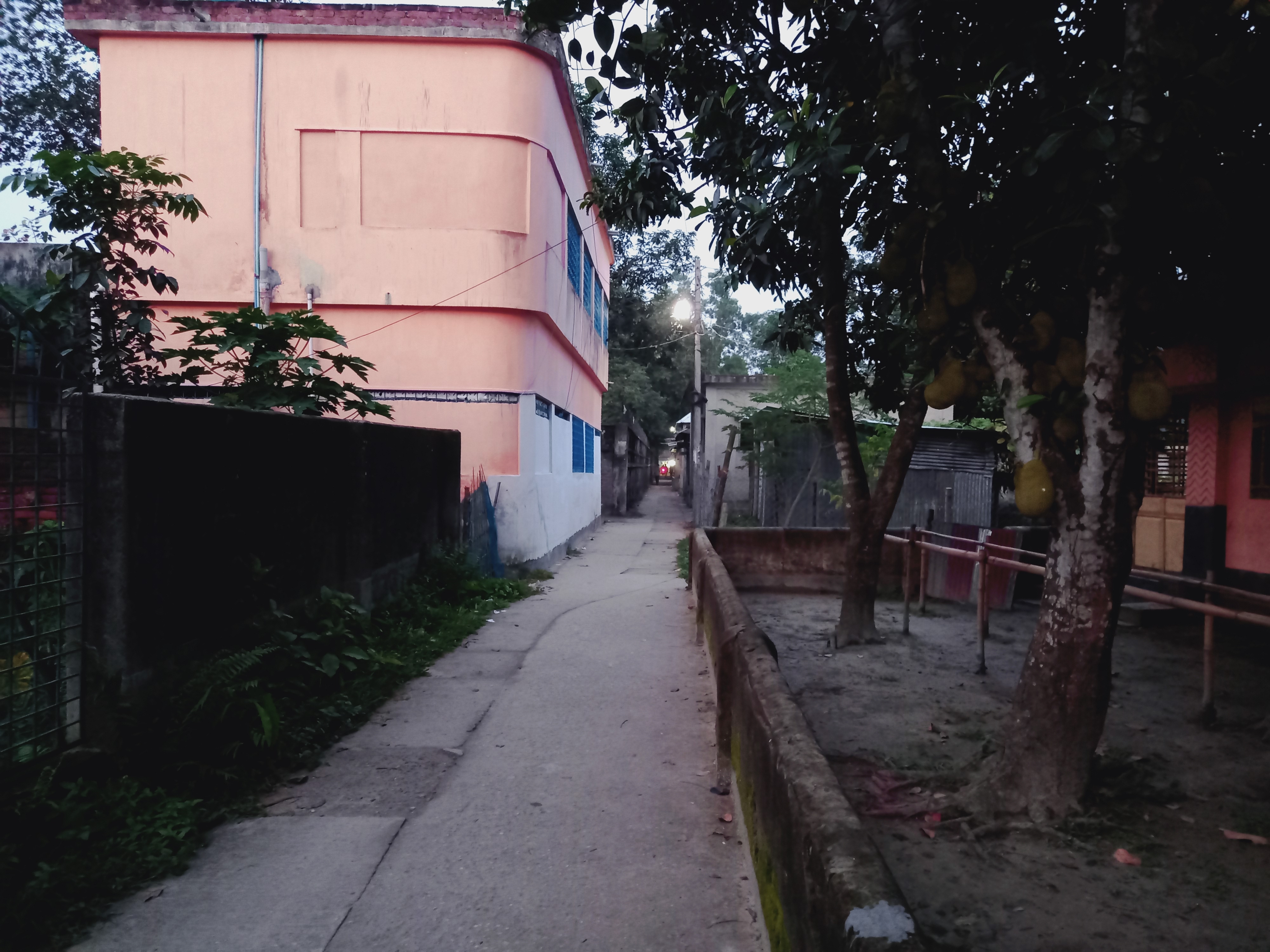 20250604_190431.jpg