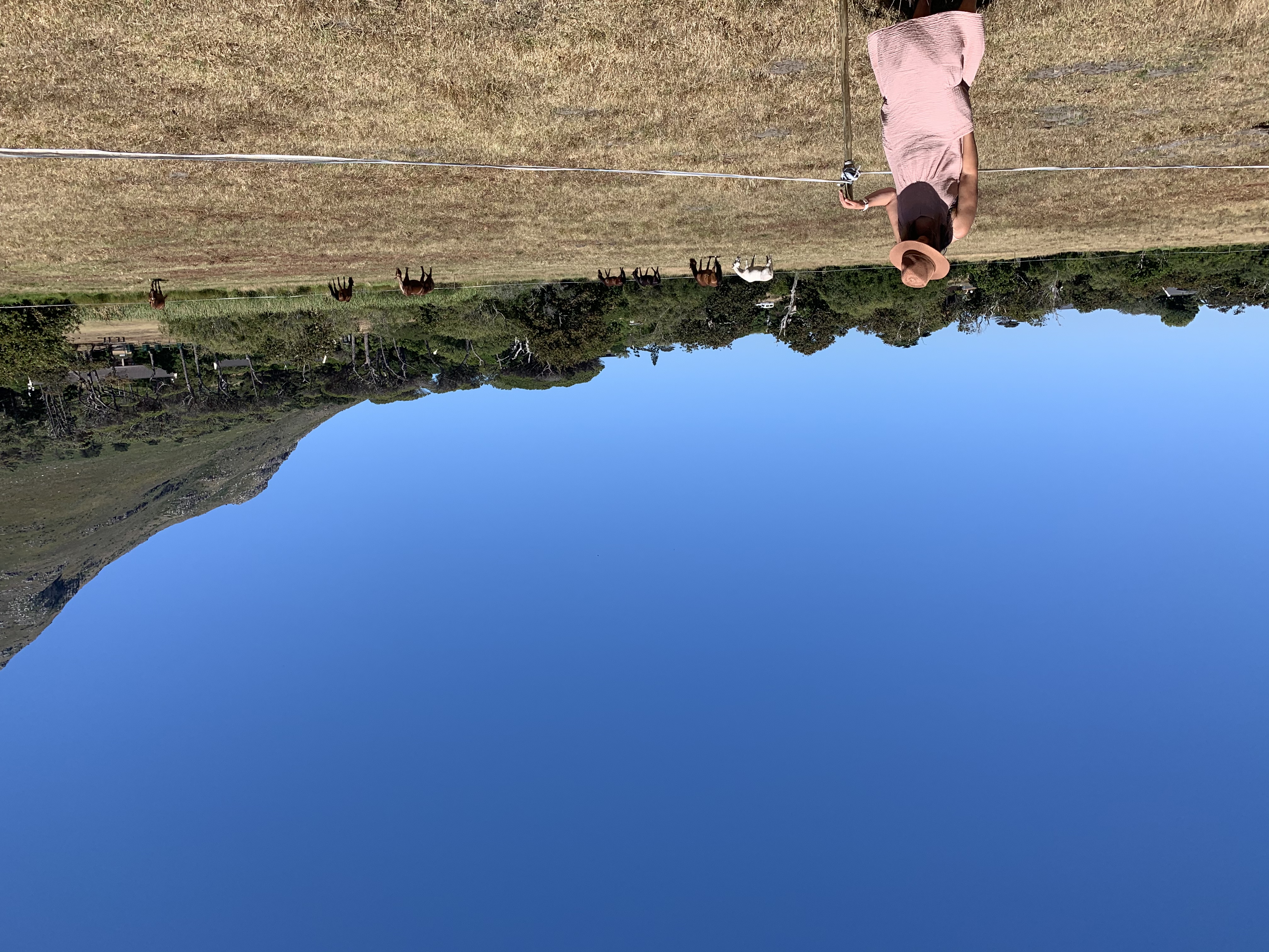 8AC8385B-6F66-46B7-AE5E-67A06FA61857.jpeg