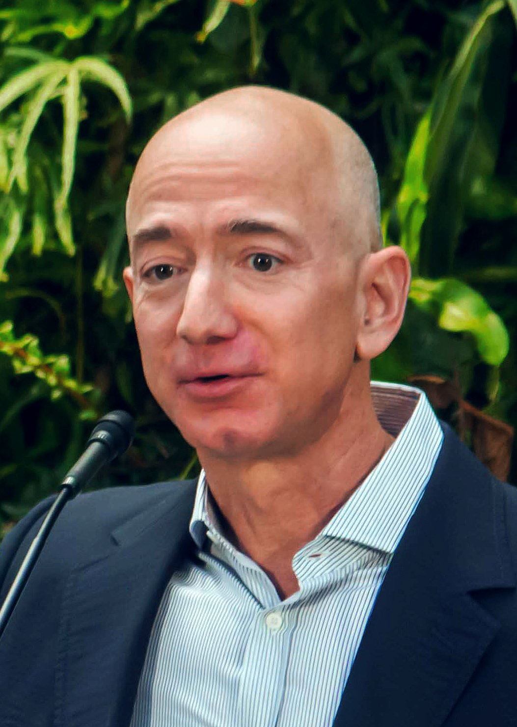 Jeff_Bezos_at_Amazon_Spheres_Grand_Opening_in_Seattle_-_2018_(39074799225)_(cropped).jpg