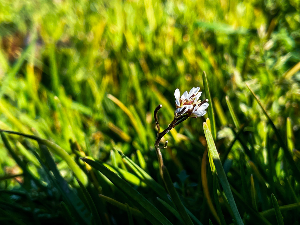 CB65D0CC-DC3B-420B-8D89-95AAA5F287C0_1_105_c.jpeg