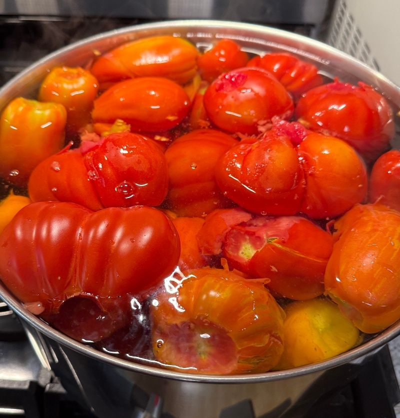 tomatoes.jpg
