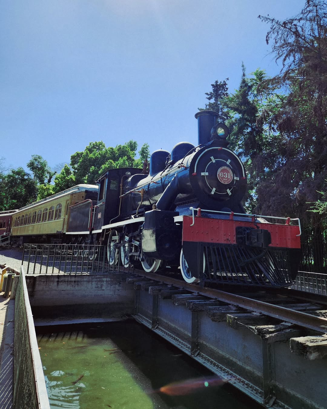 Ese tren no pasa dos veces chichi  🛤 súbete!.heic (3).jpg