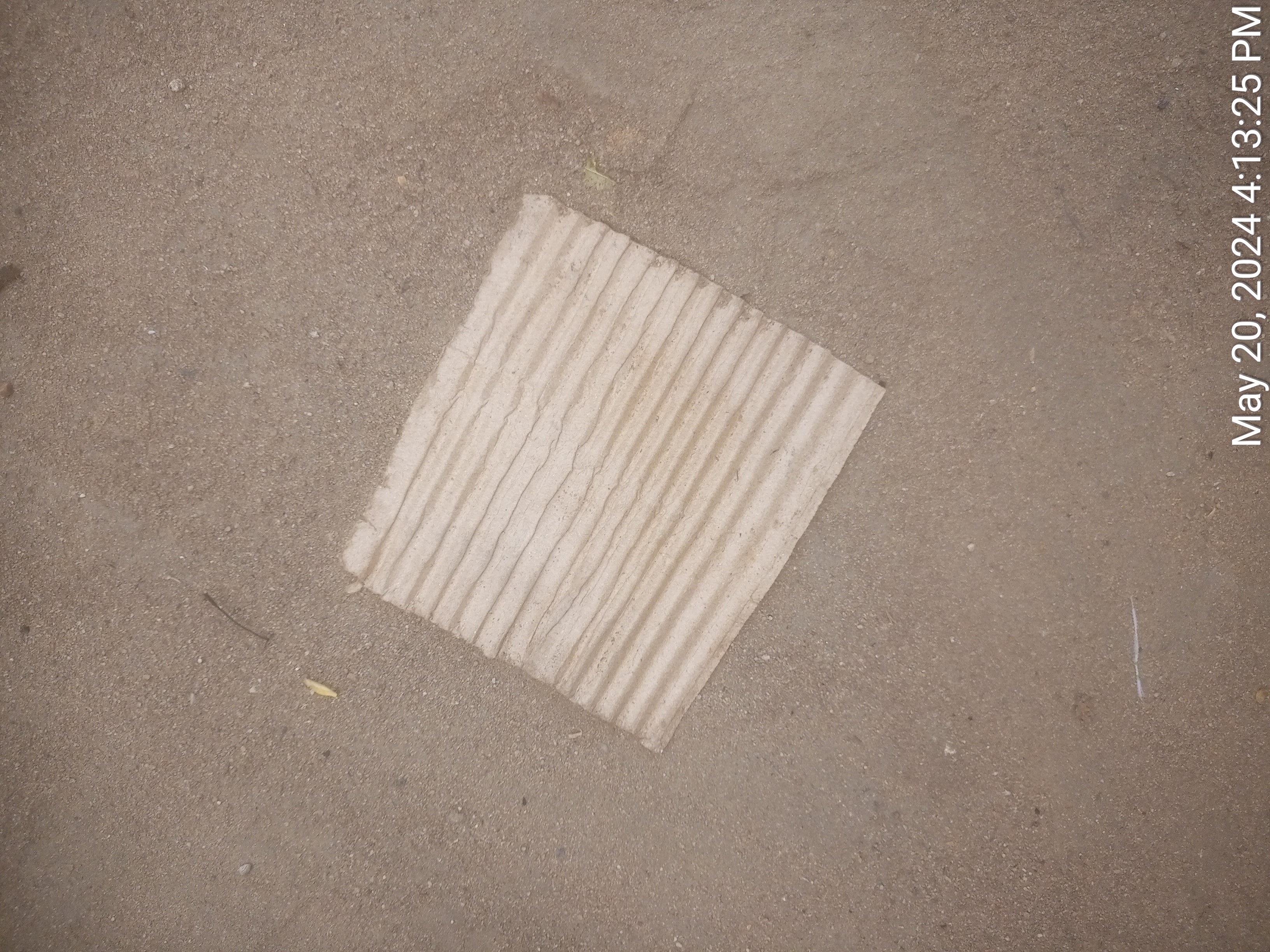 TimePhoto_20240520_161325.jpg