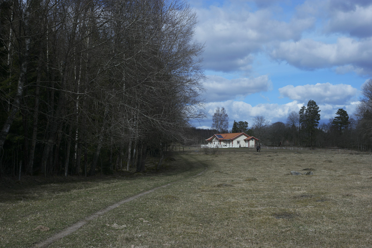 _SAM0444.JPG