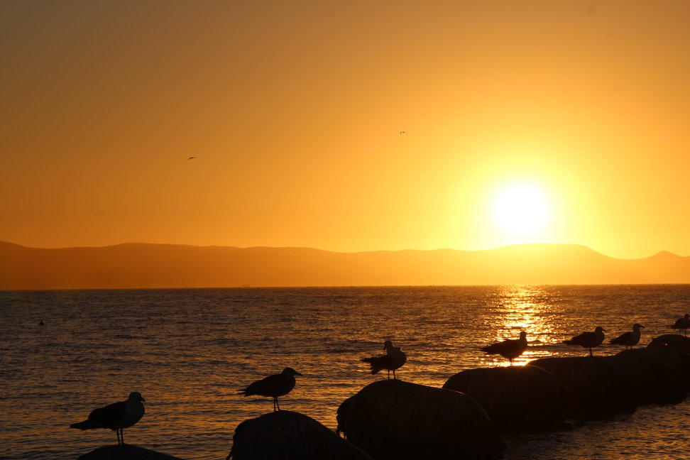 27907529_1819752551430308_8843021709413972126_o Bahía de Tongoy -Chile.jpg