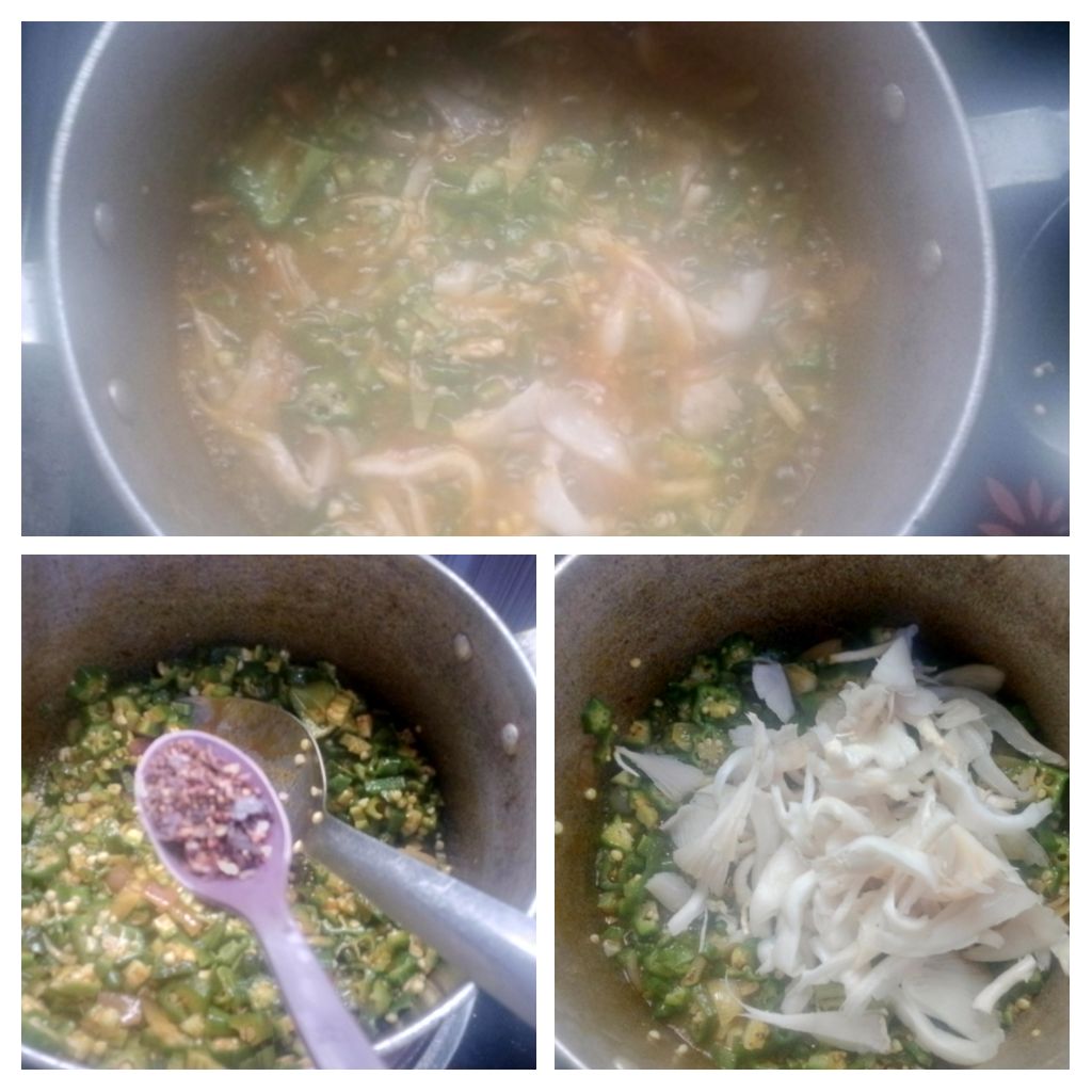 IMG_20250821_084849-COLLAGE.jpg