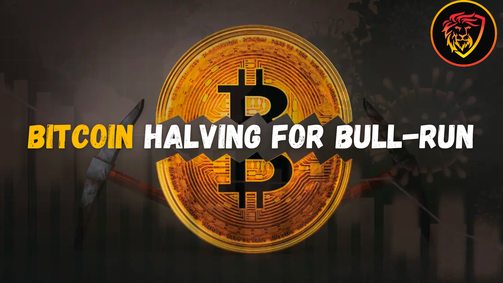 bitcoin halving for bull market in crypto btc.png