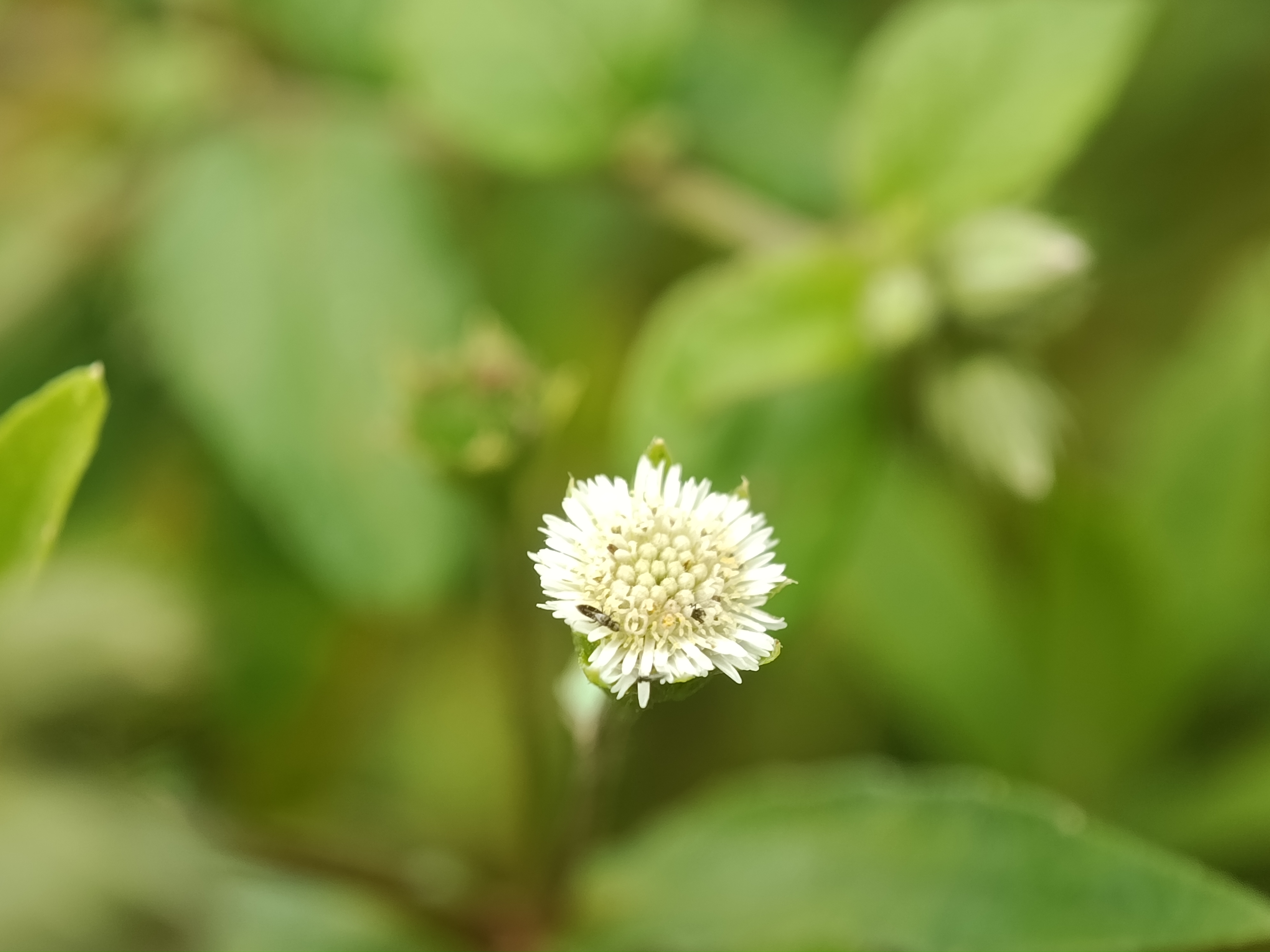 IMG_20250623_152848.jpg