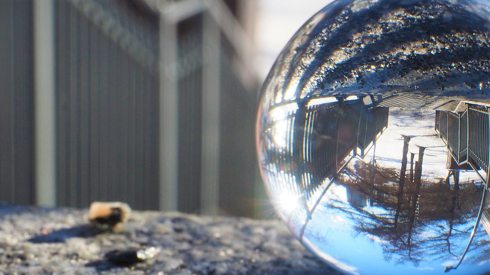 glass ball.jpg