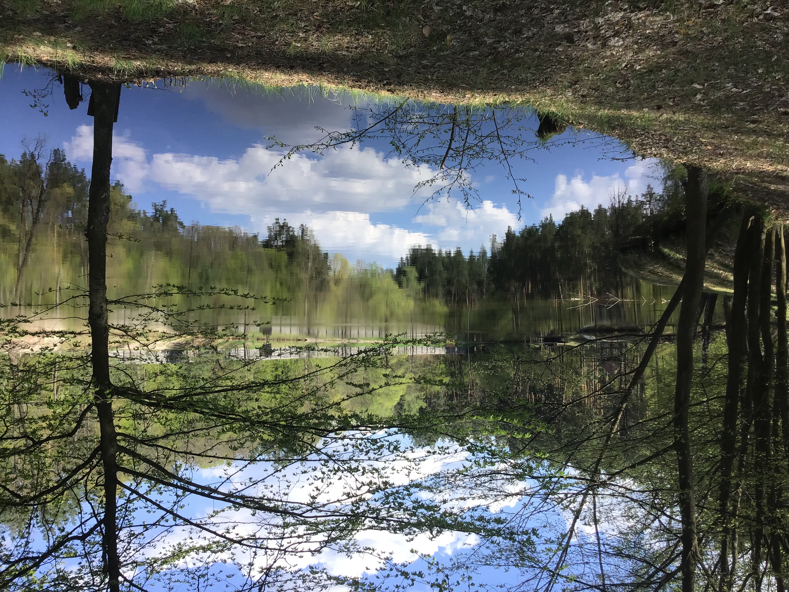 IMG_5519.jpeg