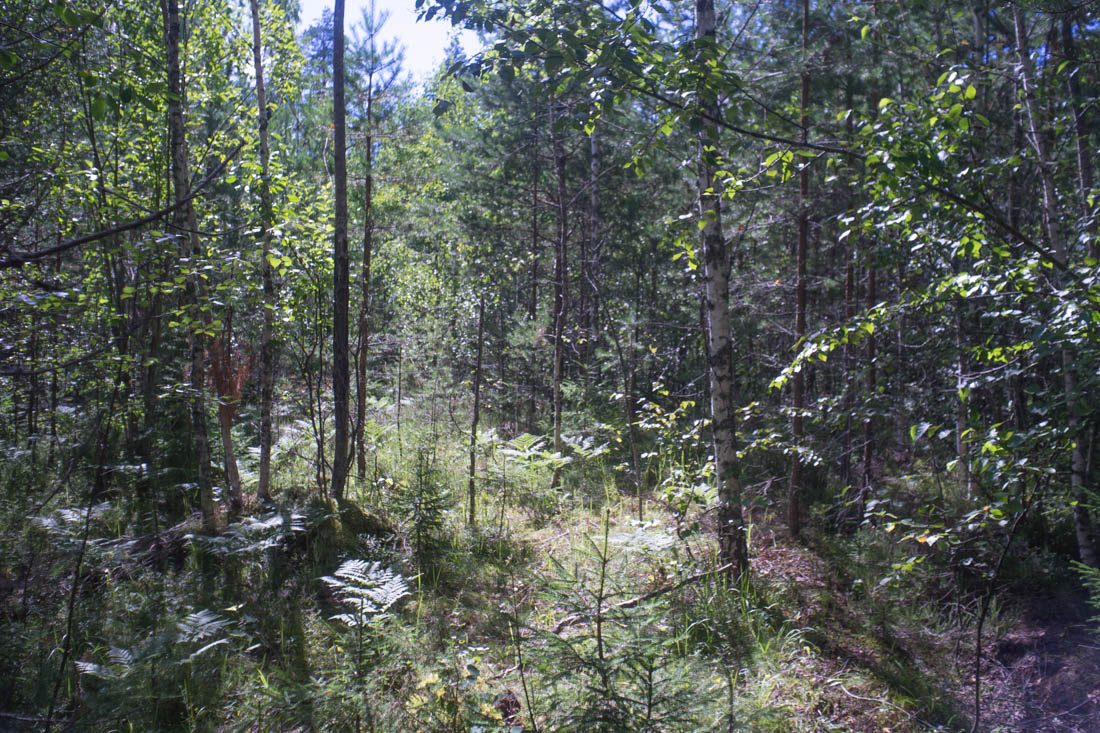 DSC08224.jpg