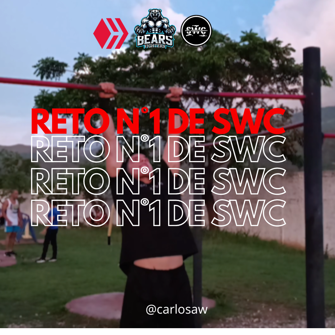 RETO N°1 DE SWC.png