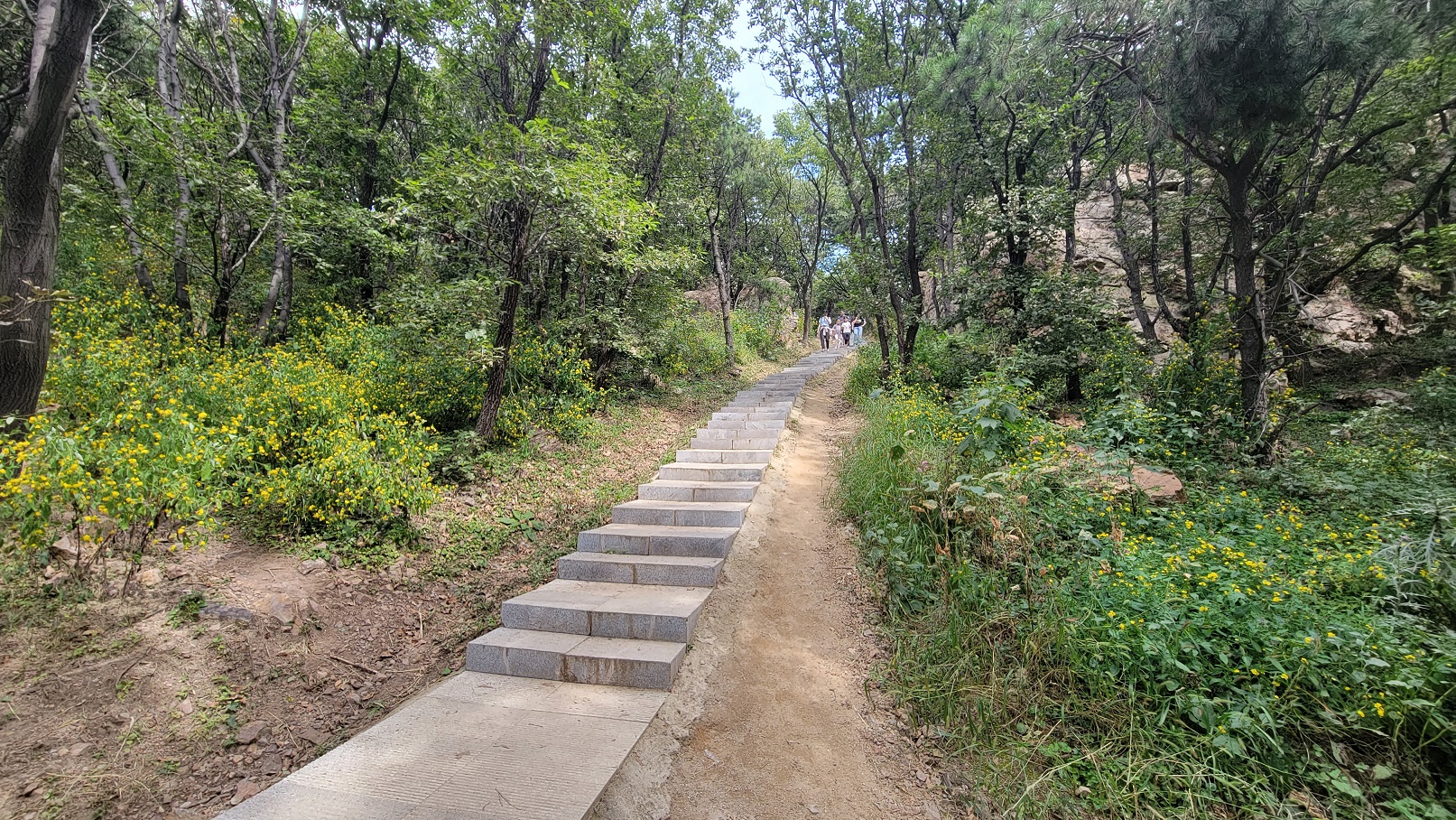 20220910_120938.jpg