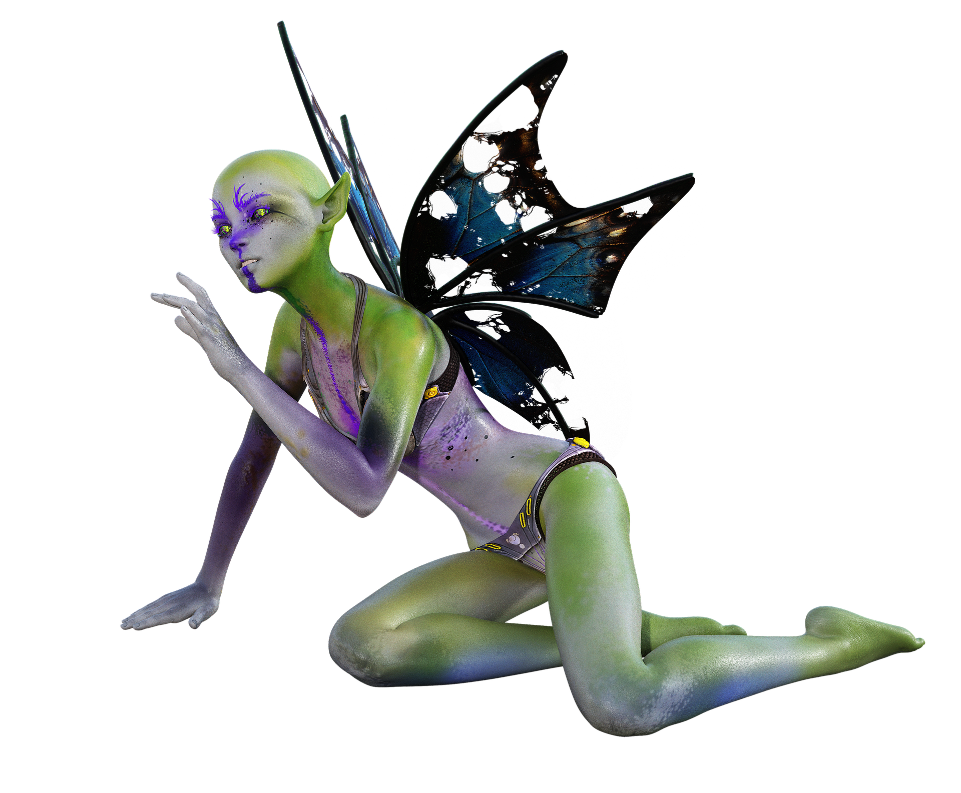 fairy-5284315_1920.png