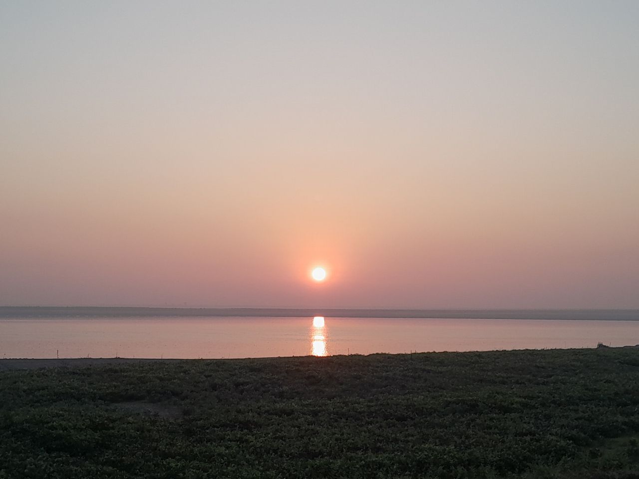 IMG_20250708_085001_289.jpg