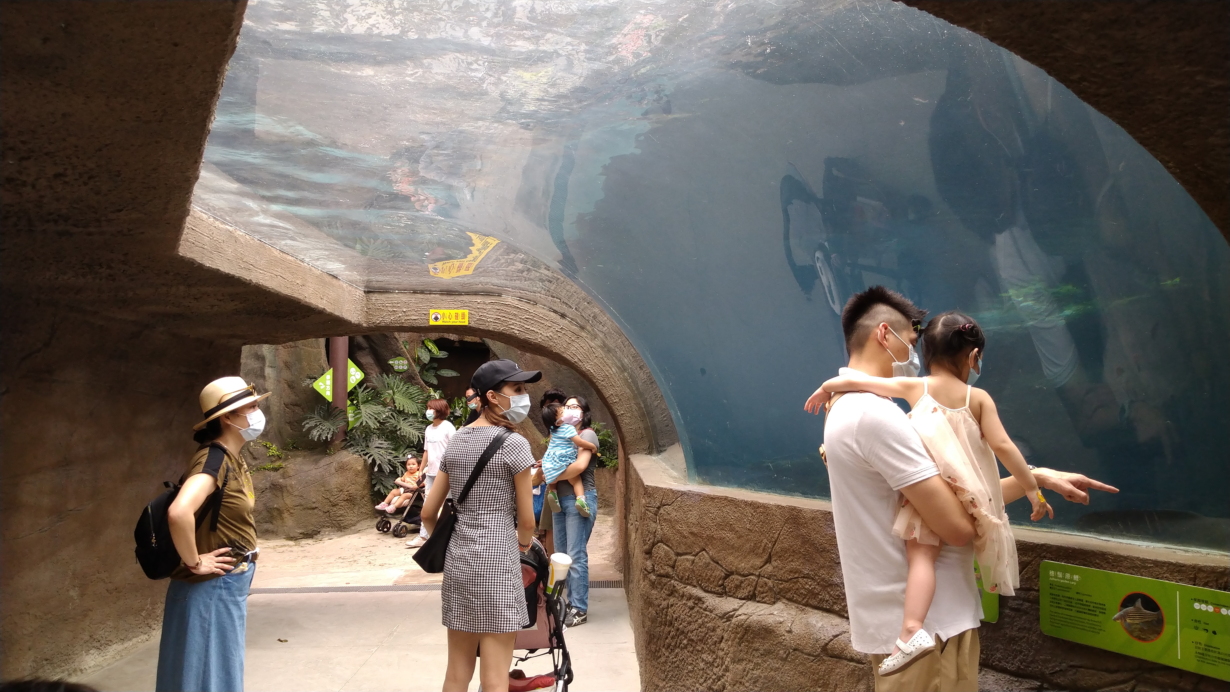 DSC_1111.JPG