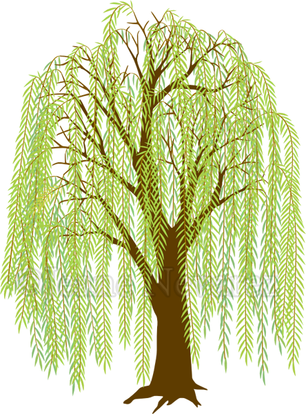 willow-tree-silhouette-clip-art-11.png