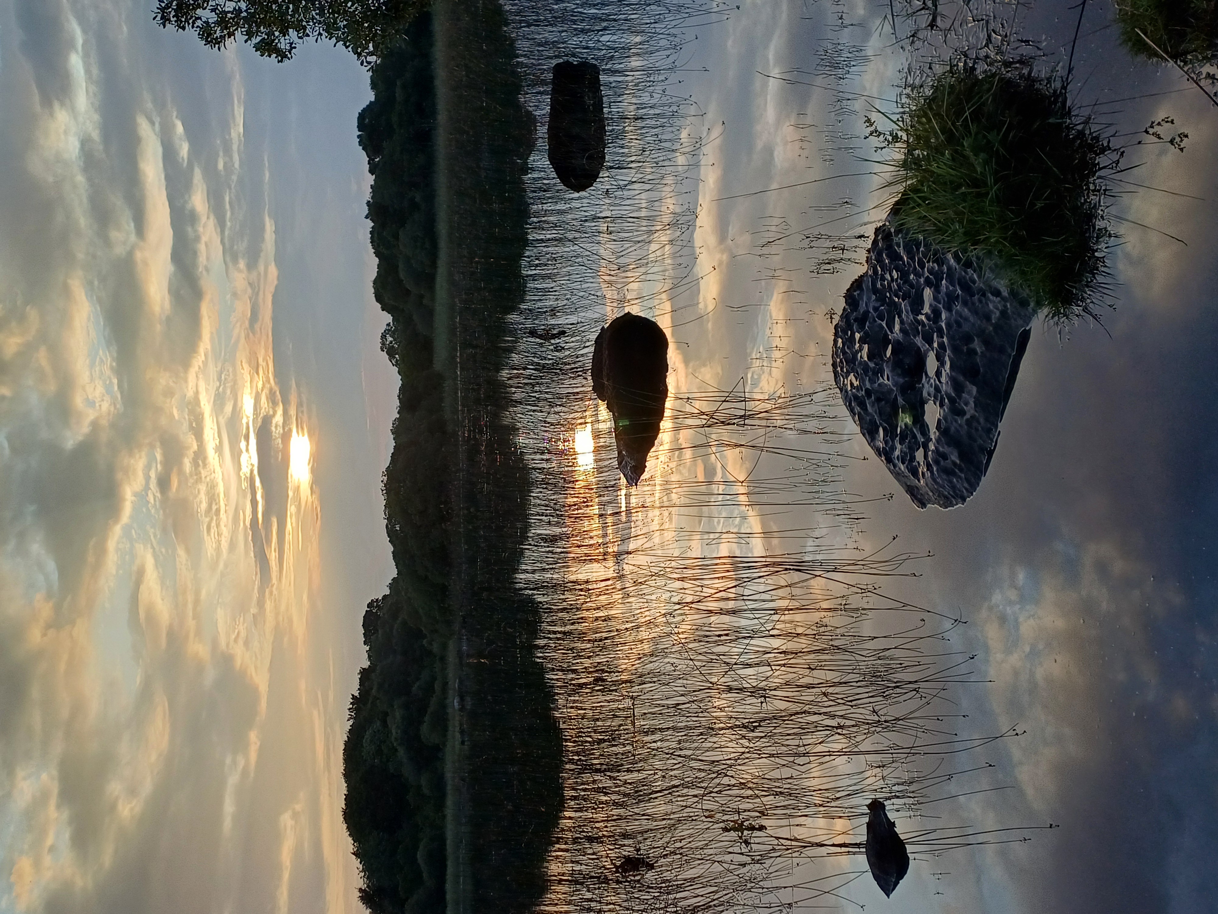 20250722_205737.jpg