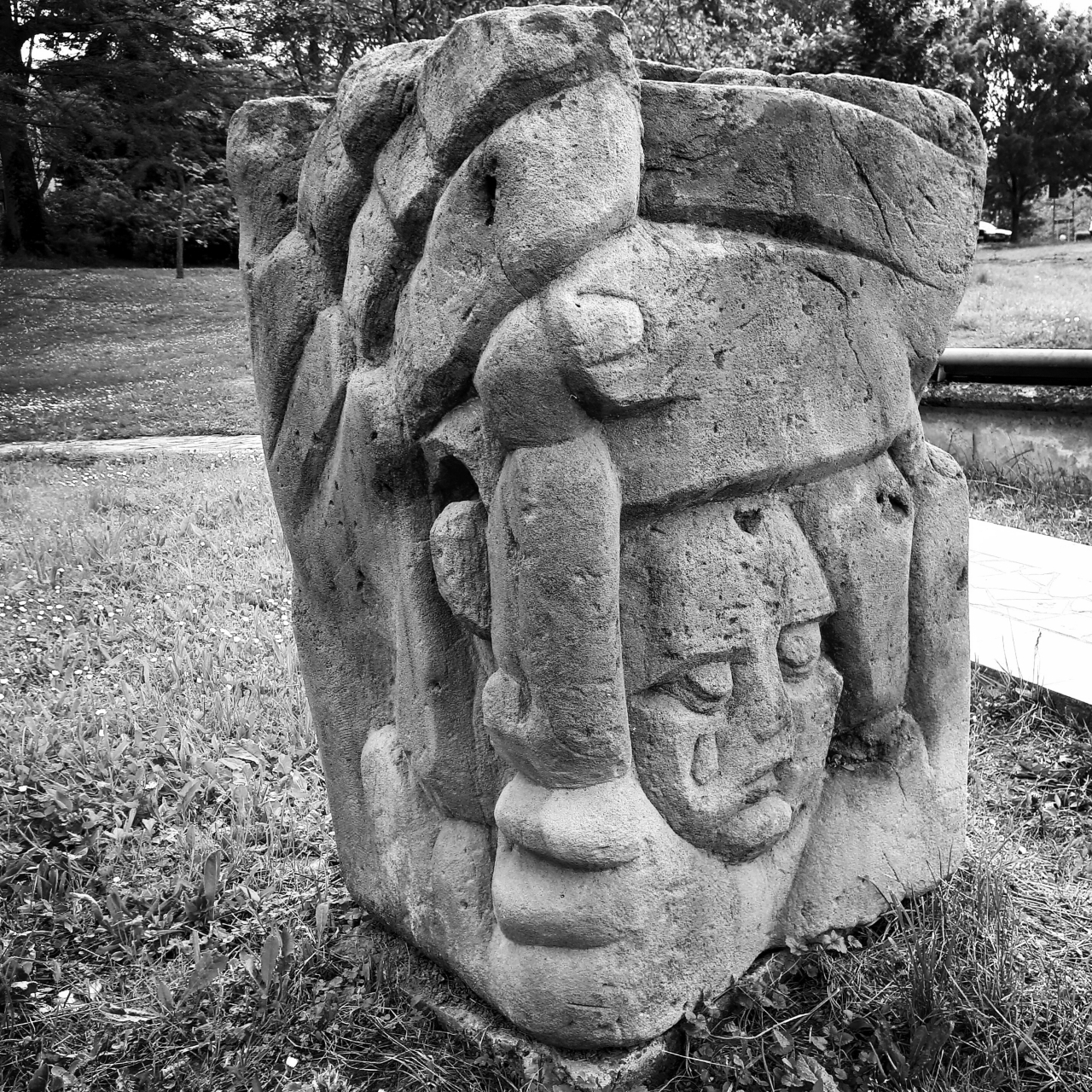20190503_180212_bw.jpg