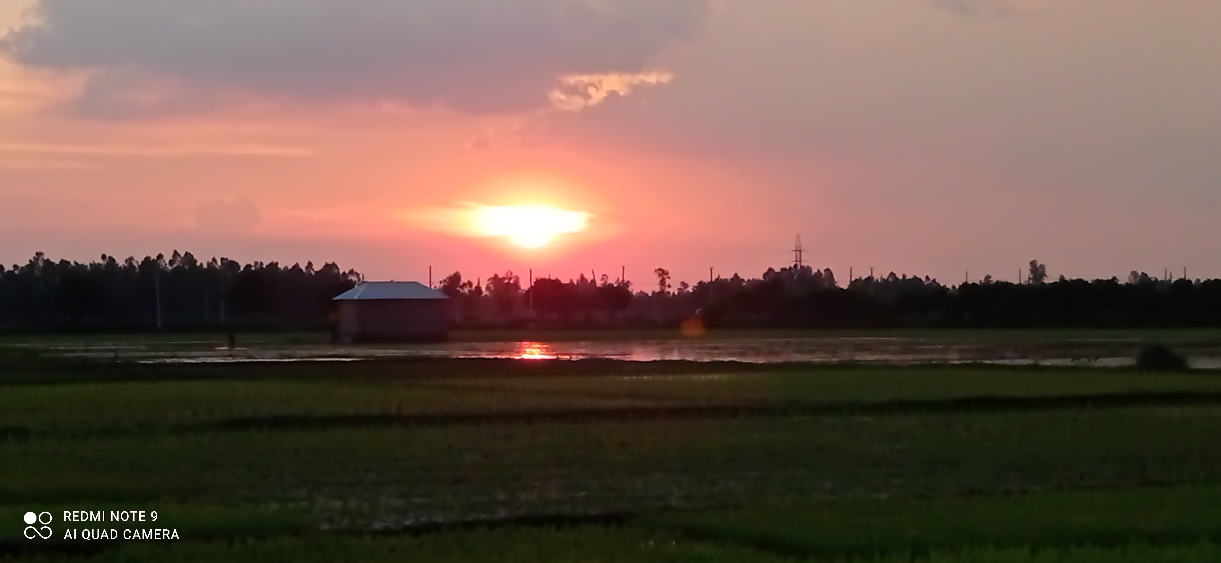 IMG_20220715_184558.jpg