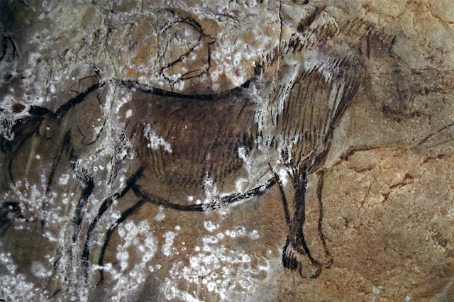 Niaux Cave.jpg