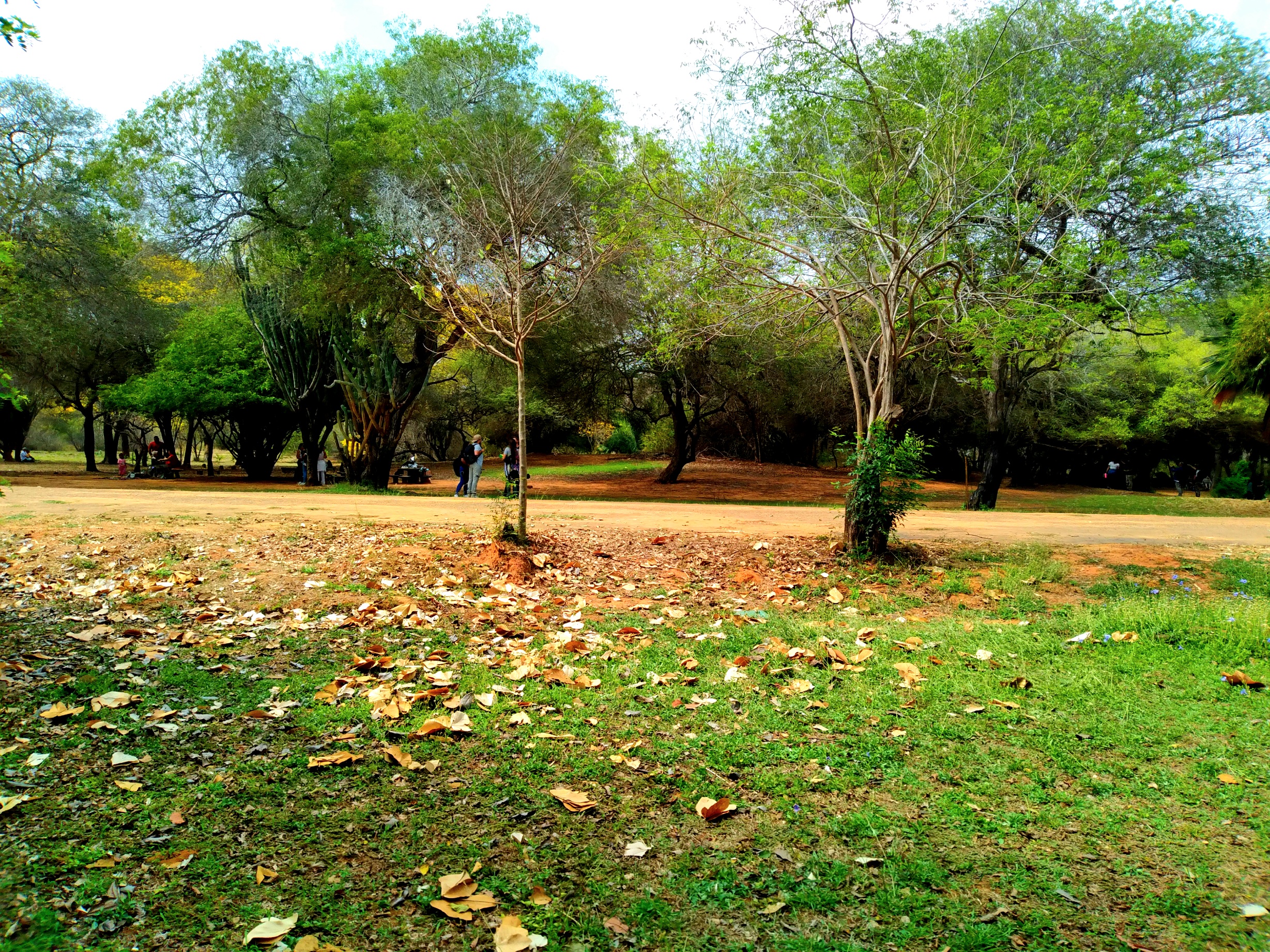 20250321_103919.jpg
